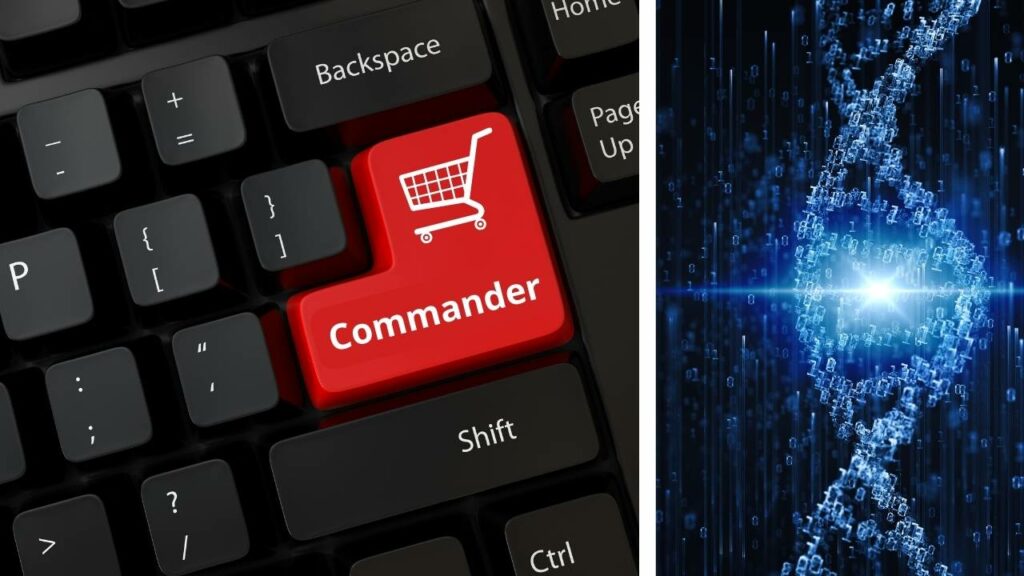 Impact de la digitalisation des commandes d'achats fournisseurs dans le BTP